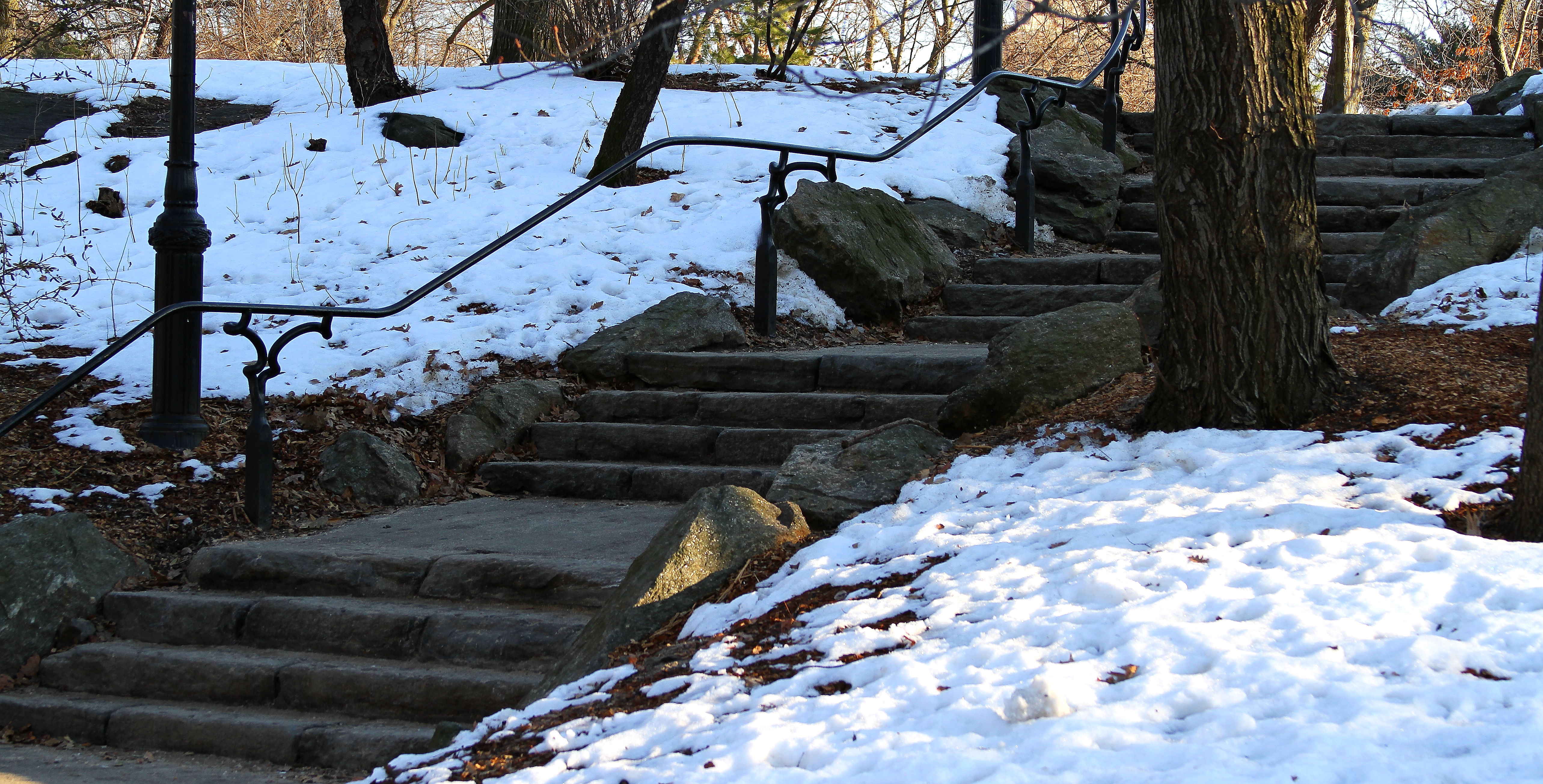 StairsinCentralPark.JPG